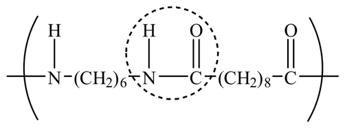 Repeating unit –[NH–(CH2)6–NH–CO–(CH2)8–CO]– with the amide group circled.